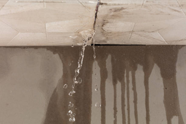 Professional Structural Drying technician working in Redford, MI